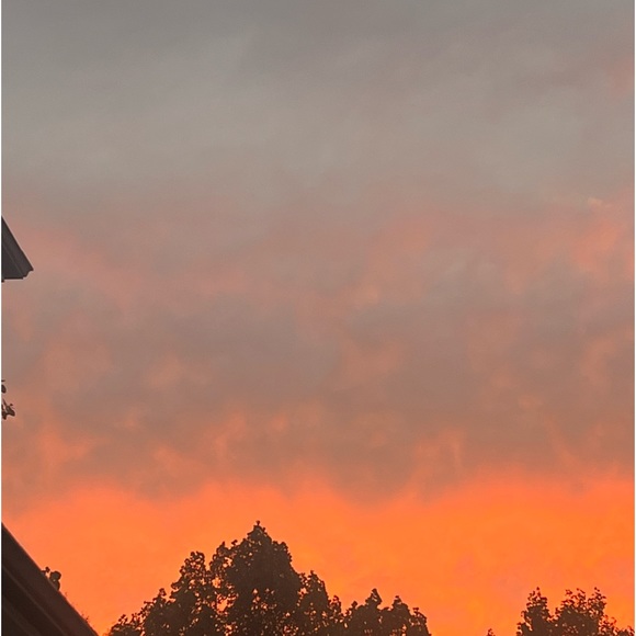 Meet your Posher, Snoopy - Picture 1 of 1